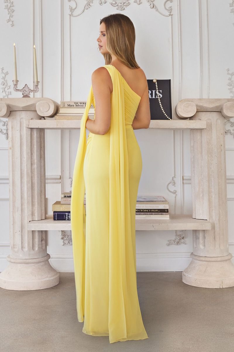 Vestido Blush Fantasy